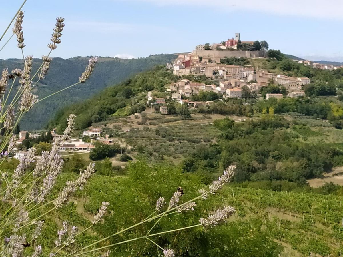 Apartment Parenzana, Little Row House With Big Green Yard In Central Istria Rakotule Exteriér fotografie